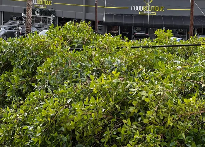 Daire Modern 11 Private Kitchenette And Bathroom Limasol